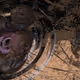 17778099525934763424244063855644460868898447837747092699101181747347970850817