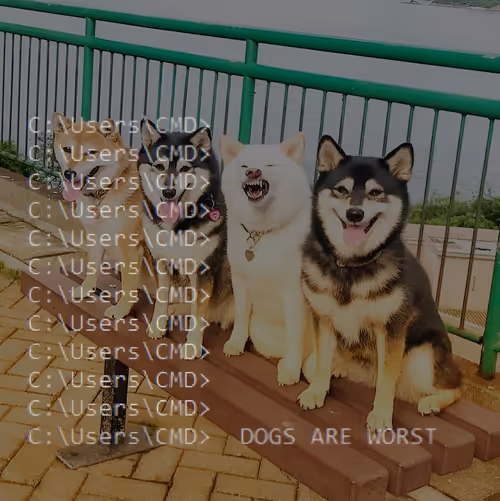 Item #56836236184877677076428852816658060516727283011434087885785851585496659001345 Media