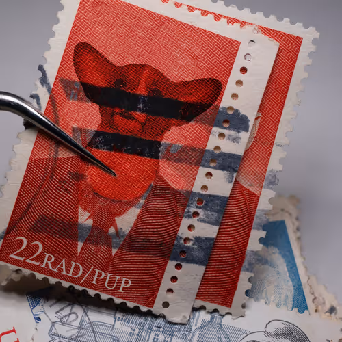 Item #109973185304335295389295967702690498050440437764202445007733630589055616942081 Media