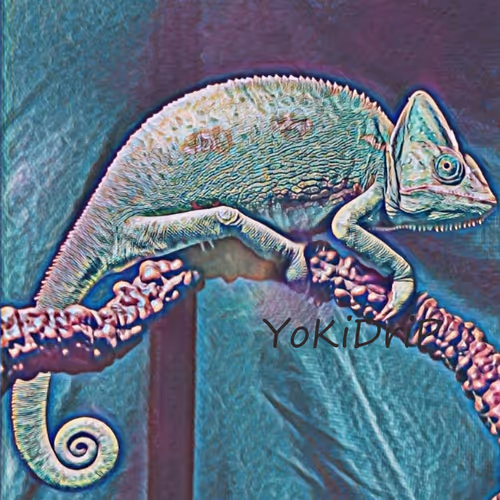 Untitled Collection #92495833