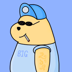 THE BIG BEAR5. #019