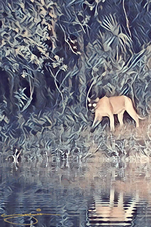 Item #24515379016287833430110687259411372809394655166763807580583558309292424560641 Media