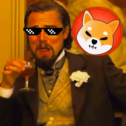 Shiba unchained 