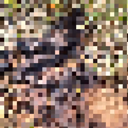 2850415134272365380187775685678842410458265265709128331682257665704956264449