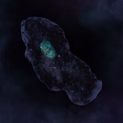 Stasis