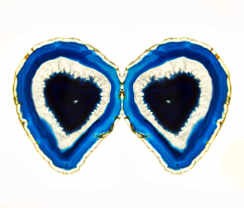 Item #86322865835249178422551085128691778807953829915868126837986678410699335532545 Media