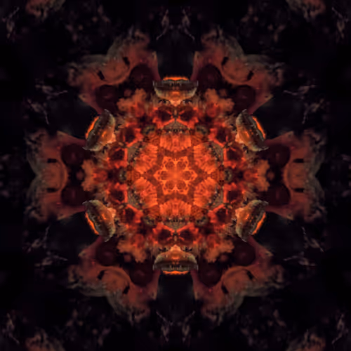 Item #20773620993776867965728889327051891671077453121731207929445086823894497624065 Media