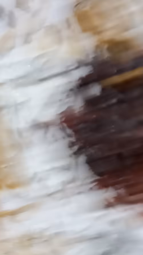 Item #6953580024808712742906220267031265195446481600193527033543342969721072911336 Media