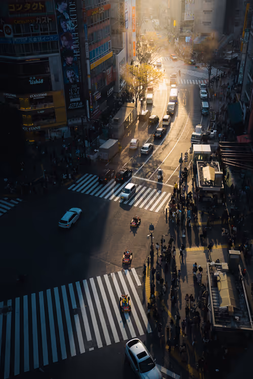 Item #84492978198119788081858584857369630260874381154171846651703266072007127597057 Media