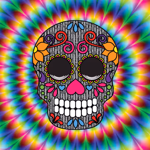 Item #54634478904034944682905599145550809038477309677259886737257195437744556343297 Media