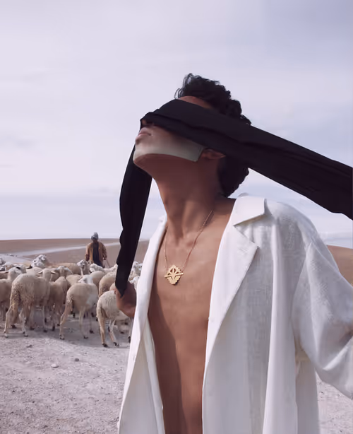 Item #63324450979353932572546796381388974853561747879606244592105116294258813304833 Media