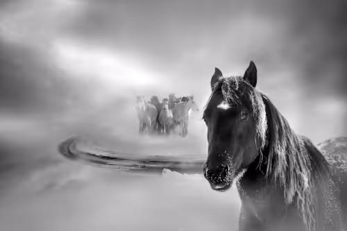 Item #73363223370355250909196244140857466626496998110185198638772903919129402015745 Media