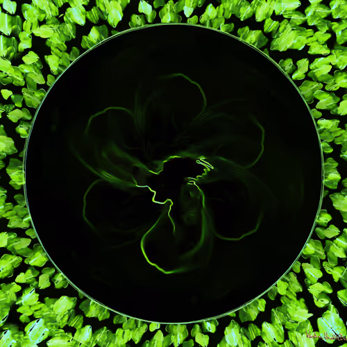 Cosmic Flower green