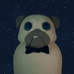 Space pug