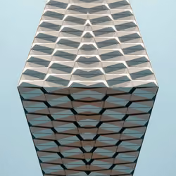 229