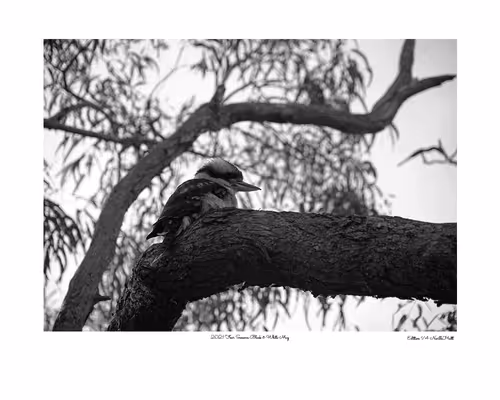 Item #24600310660482288606297797528155087939323639147399647196853483683121725440001 Media