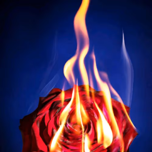 19875022150130744162425629756187769204807531691235969705216140991099933032449