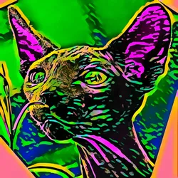 50830097462543580601473563981388698009005024090223633461481089797547995693057