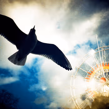 Item #42626720449793049245731240582970290857527864811431423741856946922583134044161 Media