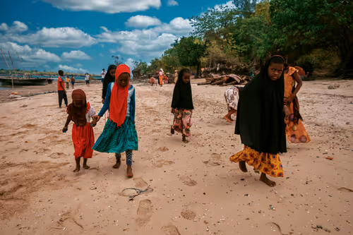 Item #81057615018985245267668409952199543064735075507553677475786031443272217395201 Media