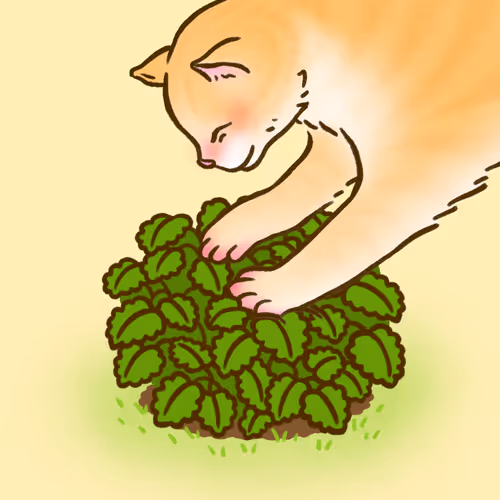 Item #100546326840938006351179611880488389822132399347808687645215853896443048755201 Media