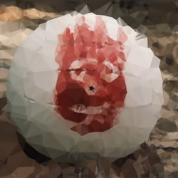 #2 Wilson