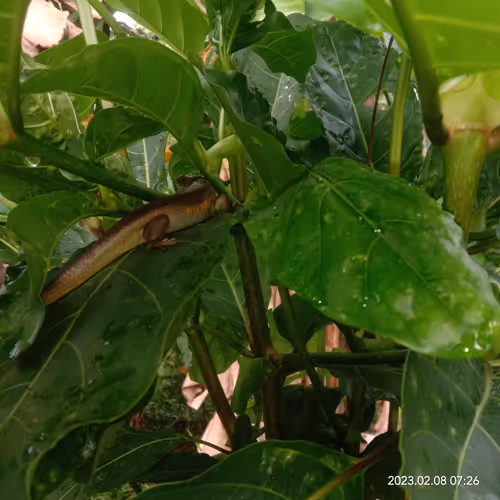 Item #15416064837448188610247350204521494909343598378477019548960405603714854813697 Media