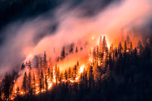 Item #55396979496544417469792883121952566872796951856674190010796140023649839087617 Media