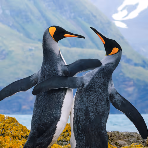 1833942018307685364430672493149383567190945732151624631916381569254133071902