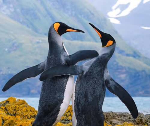 Item #1833942018307685364430672493149383567190945732151624631916381569254133071902 Media