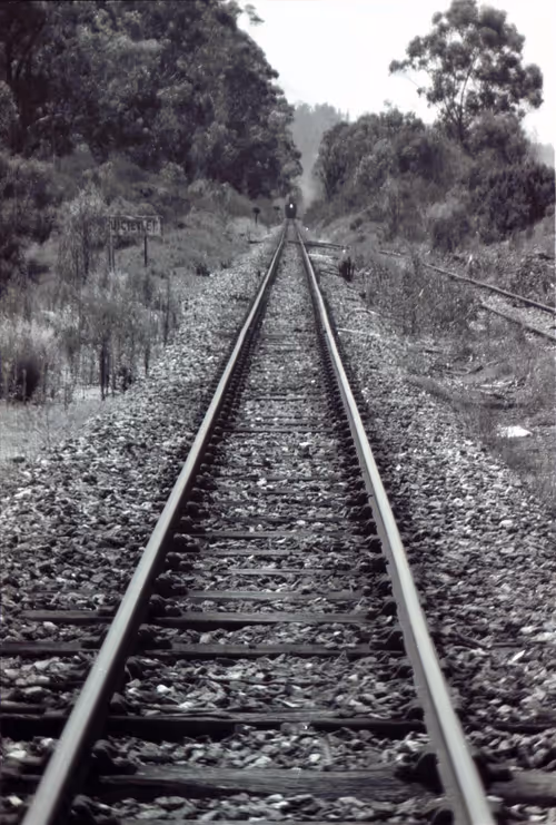 Item #17170766491500085813784528329408520152162080499931486046086089351390008705029 Media