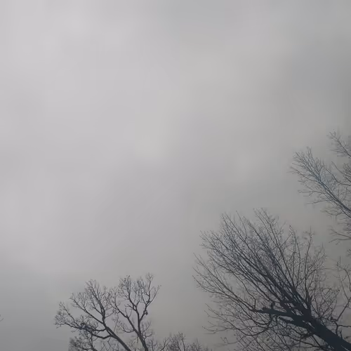 Untitled Collection #69160987 - old