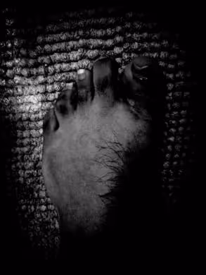 Item #34395980973641121246828452055319560848406752493791223288261827577313377648641 Media