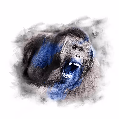 Item #59088353916634911645199901135540098457890710800918991321684793662344091664393 Media