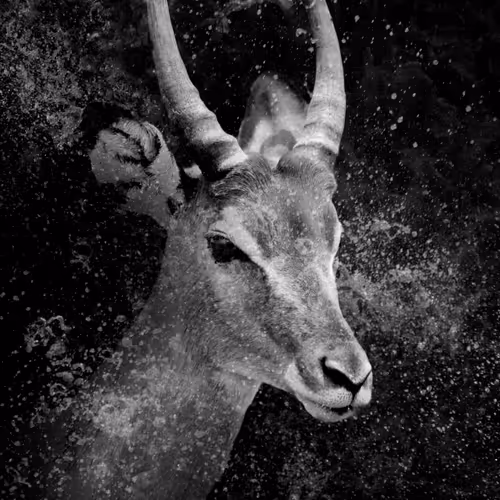 97390858549290517915673057044451120522321858296040786888435299456199887421441