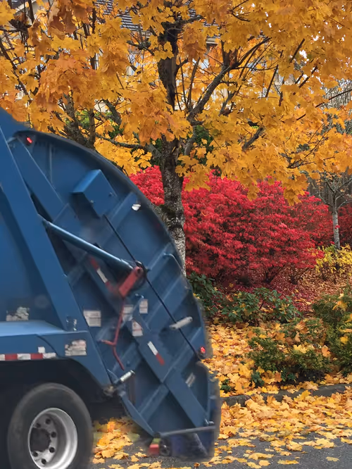 Item #98302218548154138540751170161055066086641108964287725677528013460835387047937 Media