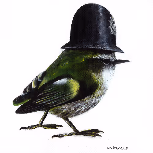 Item #92566316601435052281349829868677070960723609270409732510250099649342294982657 Media