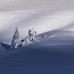 Deep Snow #2