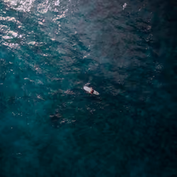 Alone at Sea