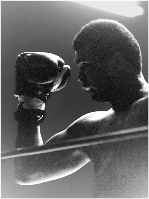 Item #57132418954837918886711585800954240595703597984635010570377711654885476270081 Media