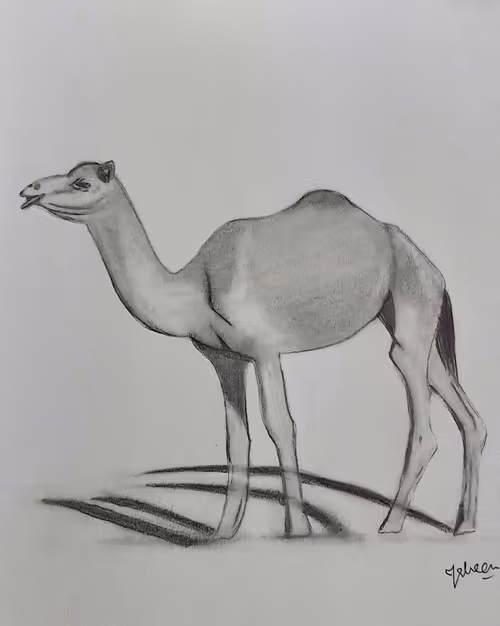 Item #55986617302409629486759846259040043364516686795130712673458847411280694738945 Media