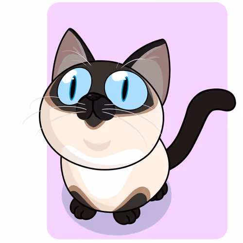 The Cat Staring