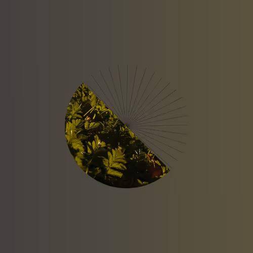 Item #10358932725892737224696233671439170009939406738885577605291127212031558549505 Media