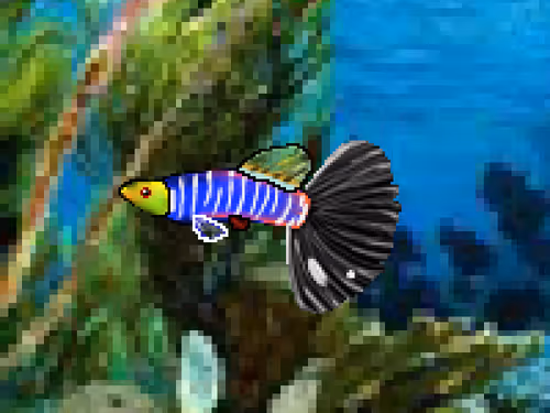 Item #103660596945549690149969121575235901622056825308983816077636299638123450597377 Media