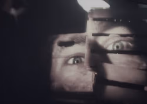 Realness2011 Collection