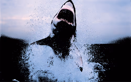 Item #32280227684796633281509489685107784796052920964773961429317660100295779155969 Media