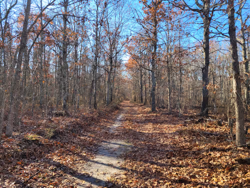 Item #34085441569699423005310991372941828806155687762378495952169943217567034245121 Media