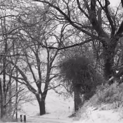 lonely road