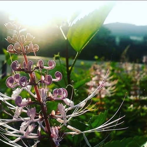 Untitled Collection #149095498