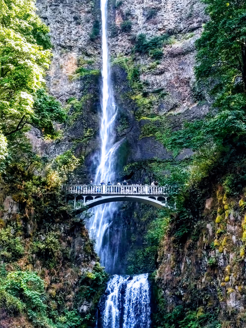 Item #70867767148206433816285647026950890777096964968120148821785755209117491789825 Media